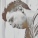Pewe